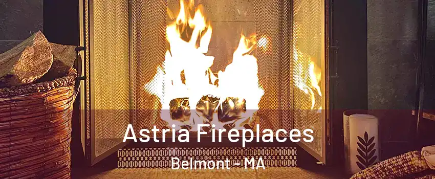  Astria Fireplaces Belmont - MA
