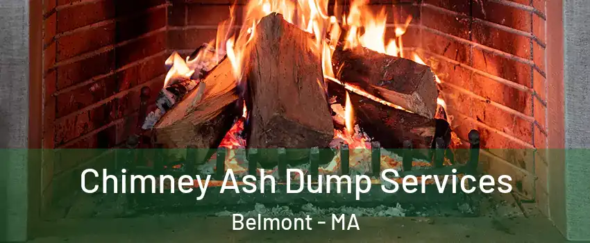  Chimney Ash Dump Services Belmont - MA