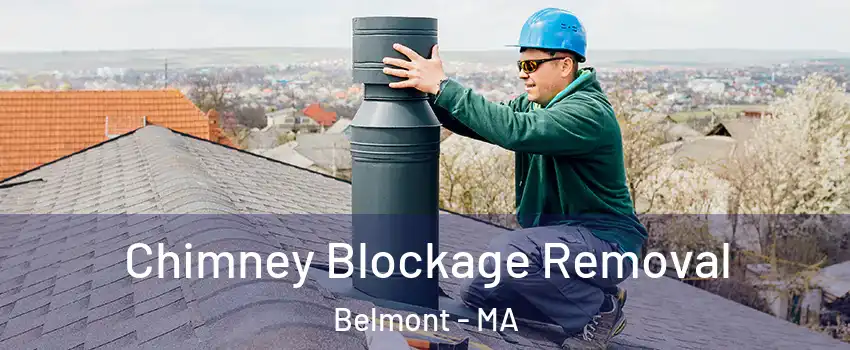  Chimney Blockage Removal Belmont - MA