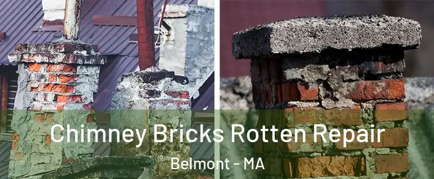 Chimney Bricks Rotten Repair Belmont - MA