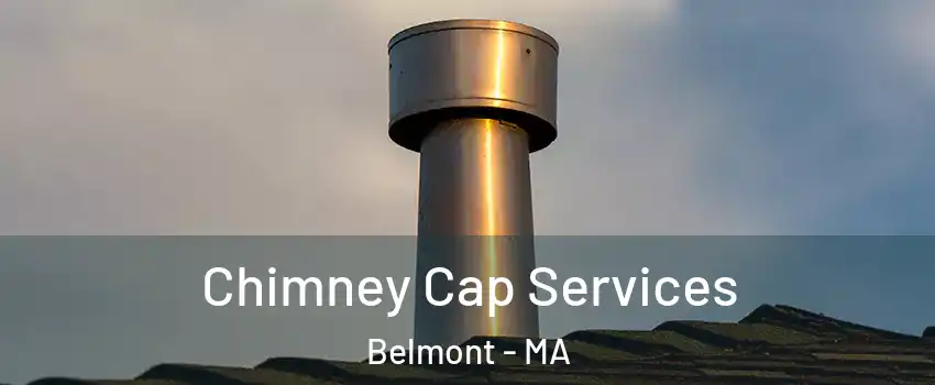  Chimney Cap Services Belmont - MA
