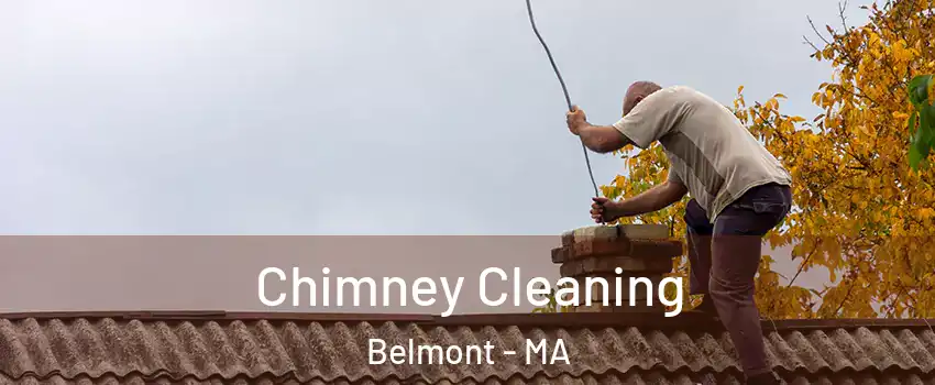 Chimney Cleaning Belmont - MA