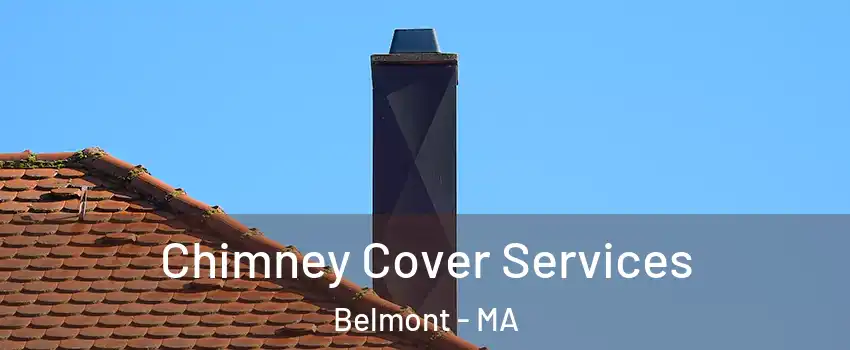  Chimney Cover Services Belmont - MA