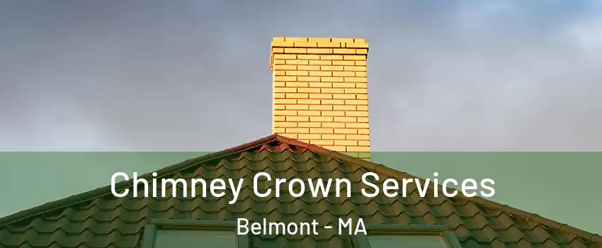  Chimney Crown Services Belmont - MA