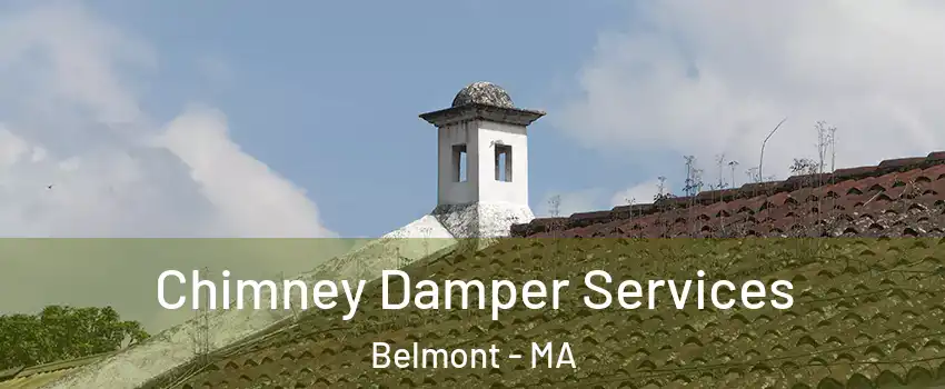  Chimney Damper Services Belmont - MA