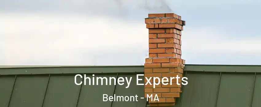  Chimney Experts Belmont - MA