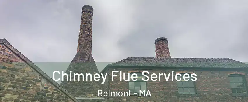  Chimney Flue Services Belmont - MA