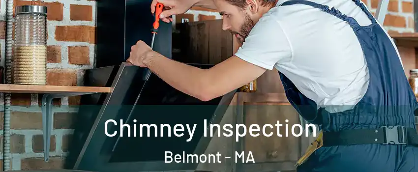  Chimney Inspection Belmont - MA
