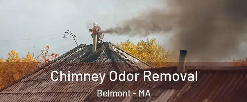  Chimney Odor Removal Belmont - MA