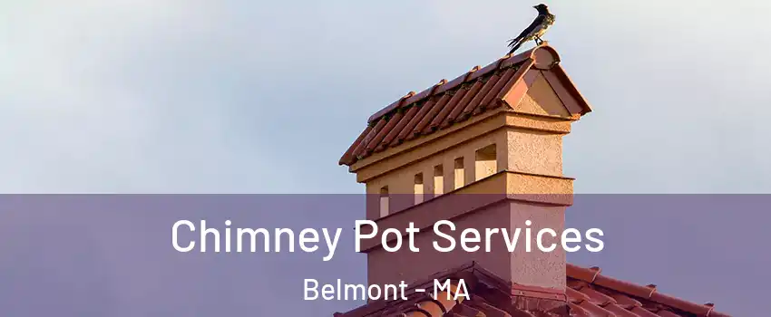  Chimney Pot Services Belmont - MA