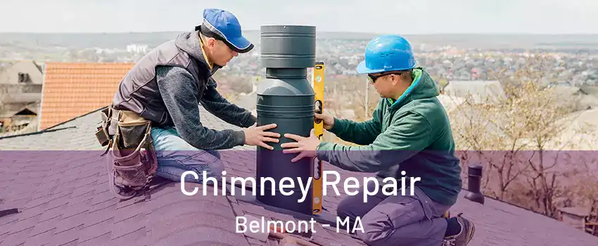  Chimney Repair Belmont - MA