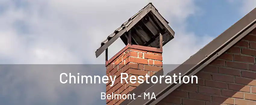  Chimney Restoration Belmont - MA