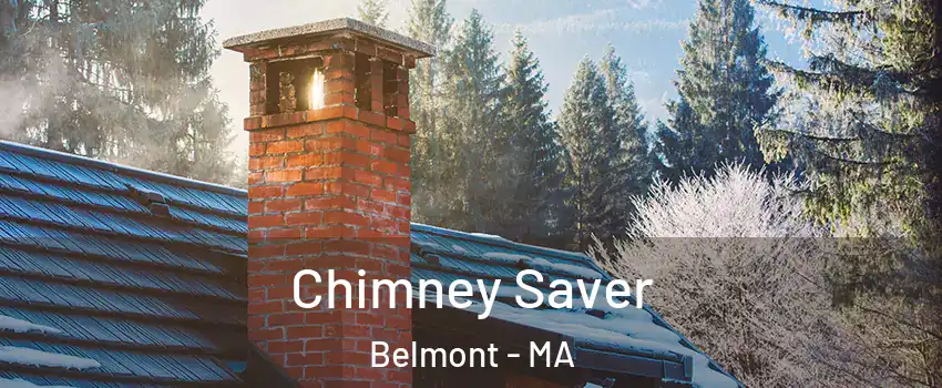 Chimney Saver Belmont - MA