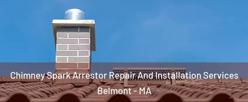  Chimney Spark Arrestor Repair And Installation Services Belmont - MA
