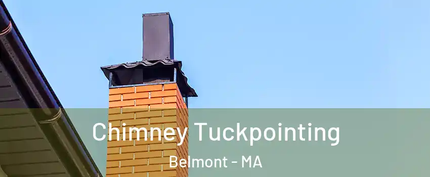  Chimney Tuckpointing Belmont - MA