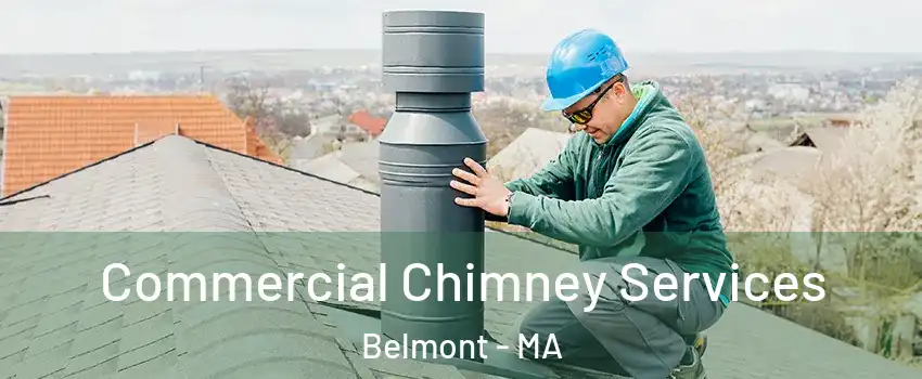  Commercial Chimney Services Belmont - MA