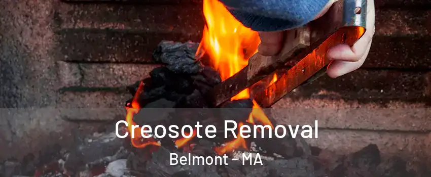  Creosote Removal Belmont - MA