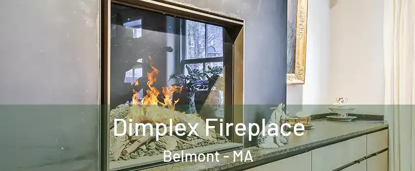  Dimplex Fireplace Belmont - MA