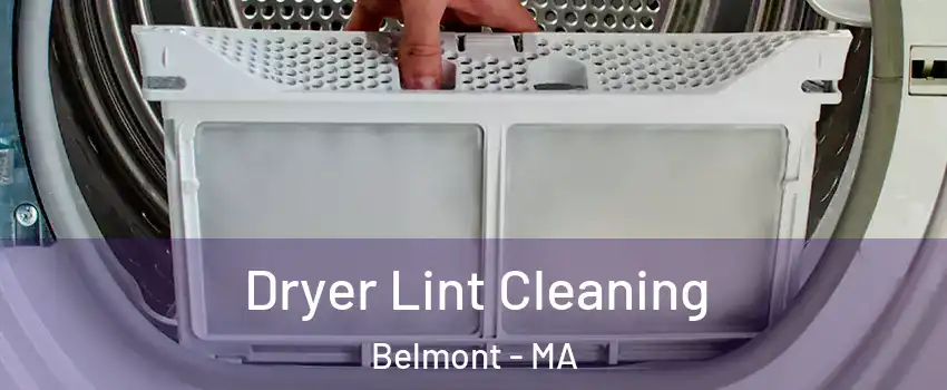  Dryer Lint Cleaning Belmont - MA