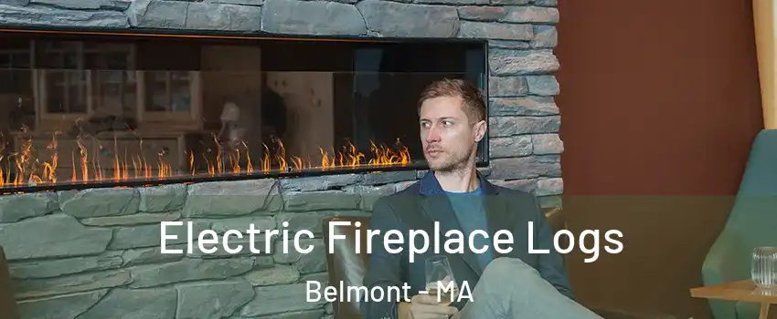  Electric Fireplace Logs Belmont - MA