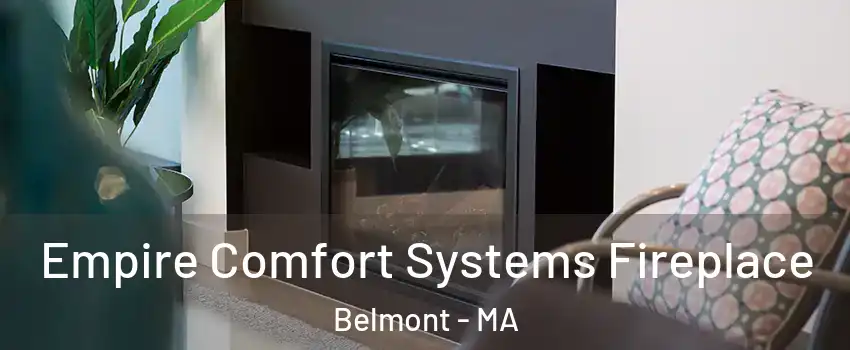  Empire Comfort Systems Fireplace Belmont - MA