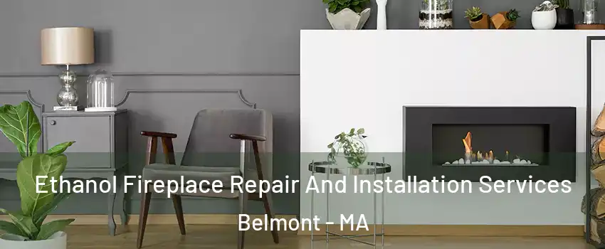  Ethanol Fireplace Repair And Installation Services Belmont - MA