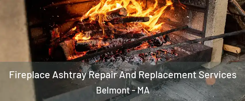  Fireplace Ashtray Repair And Replacement Services Belmont - MA
