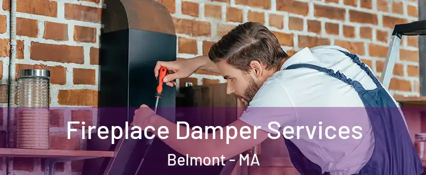  Fireplace Damper Services Belmont - MA
