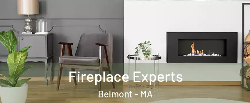  Fireplace Experts Belmont - MA