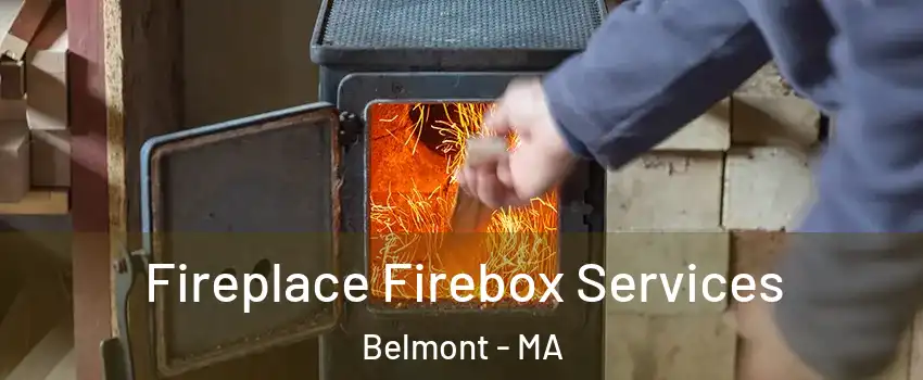  Fireplace Firebox Services Belmont - MA