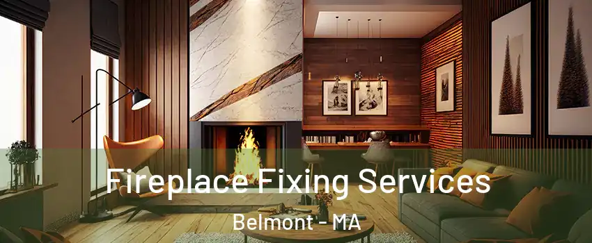  Fireplace Fixing Services Belmont - MA