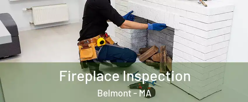  Fireplace Inspection Belmont - MA
