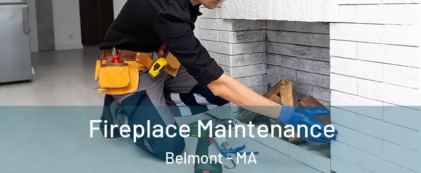 Fireplace Maintenance Belmont - MA