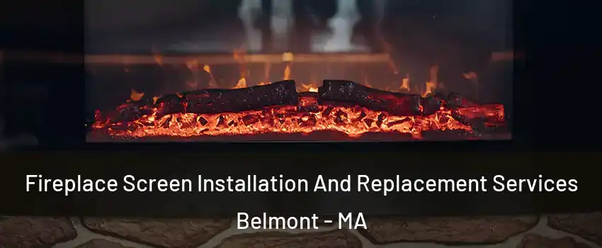  Fireplace Screen Installation And Replacement Services Belmont - MA