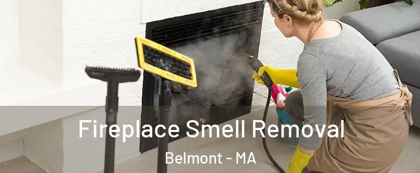  Fireplace Smell Removal Belmont - MA