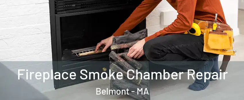  Fireplace Smoke Chamber Repair Belmont - MA
