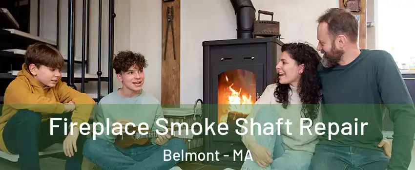  Fireplace Smoke Shaft Repair Belmont - MA