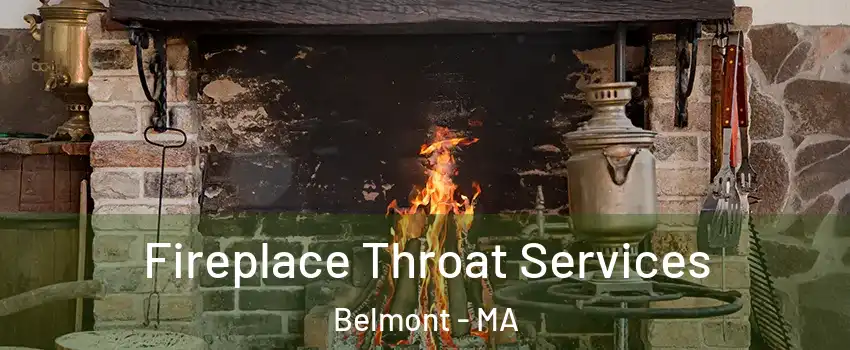  Fireplace Throat Services Belmont - MA