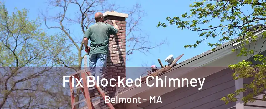  Fix Blocked Chimney Belmont - MA