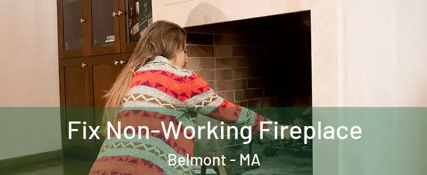  Fix Non-Working Fireplace Belmont - MA