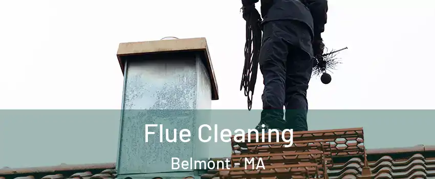  Flue Cleaning Belmont - MA