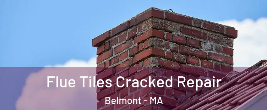  Flue Tiles Cracked Repair Belmont - MA
