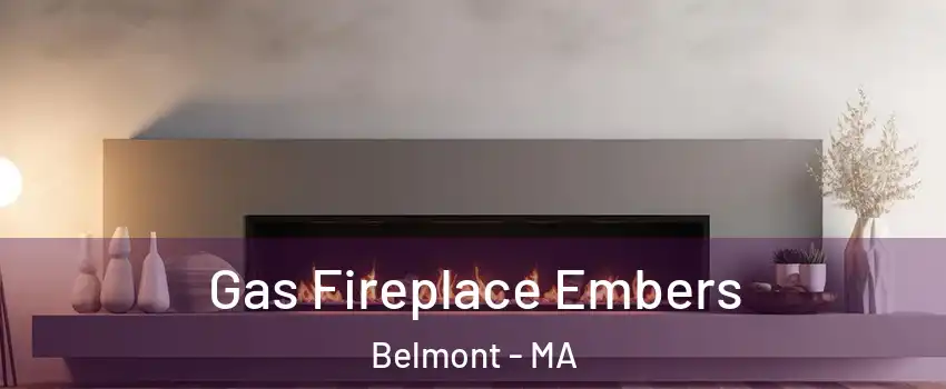  Gas Fireplace Embers Belmont - MA