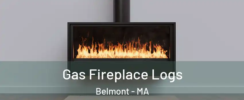  Gas Fireplace Logs Belmont - MA