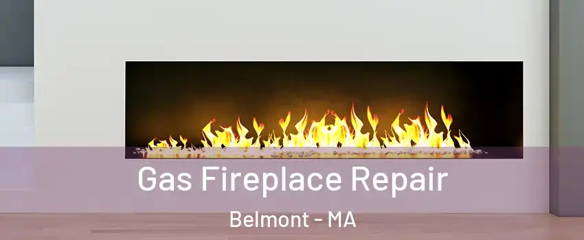  Gas Fireplace Repair Belmont - MA