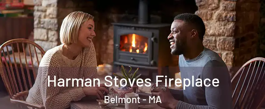  Harman Stoves Fireplace Belmont - MA