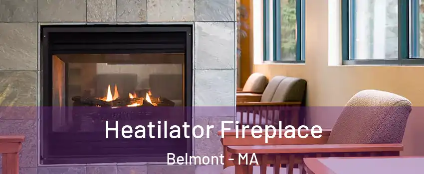  Heatilator Fireplace Belmont - MA