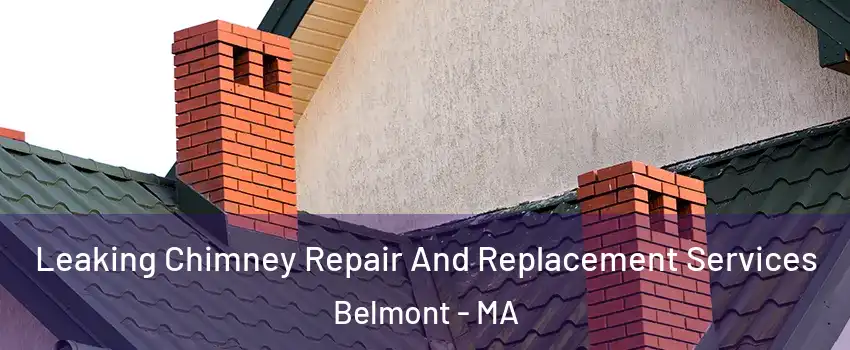  Leaking Chimney Repair And Replacement Services Belmont - MA