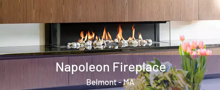  Napoleon Fireplace Belmont - MA