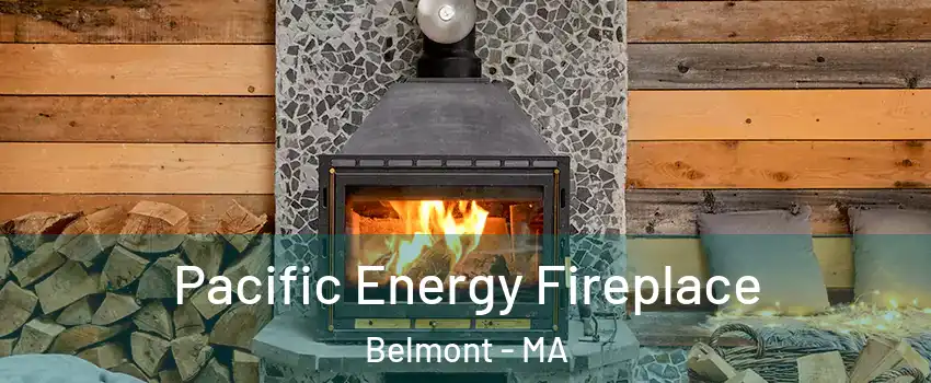  Pacific Energy Fireplace Belmont - MA